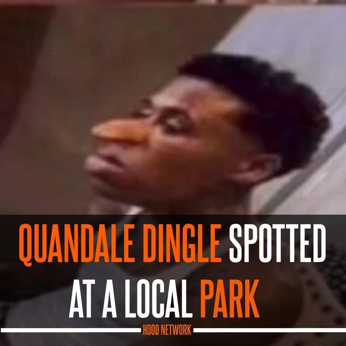 quandaleDingle